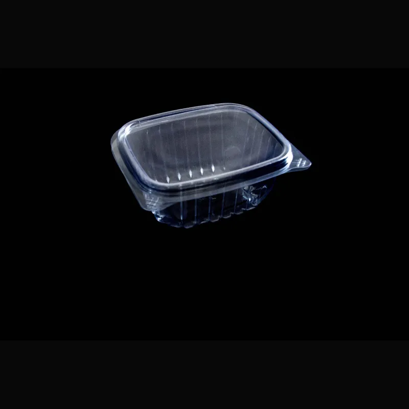 Reusable Hinged Salad Container Rectangular Clear Plastic Hinge Food Container