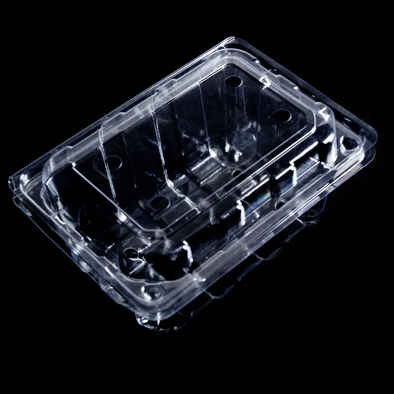 Plastic Hinged Food Containers, Clear Clamshell Takeout Tray, Disposable To Go Container for Fruit